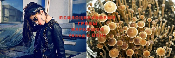 гашик Баксан