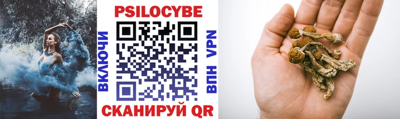 Псилоцибиновые грибы ЛСД  наркота  Большой Камень 
